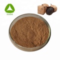 Black Garlic Extract Powder 10:1