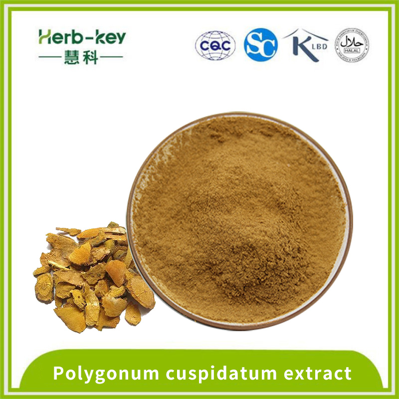 Antipyretic effect Polygonum cuspidatum extract resveratrol