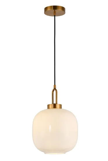Modern Home Decor Hanging Suspended Pendant Light