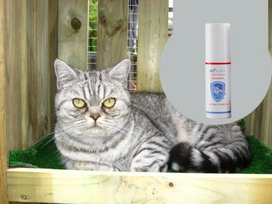 Medical Grade Cattery Disinfectant