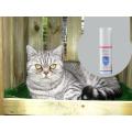 Medical Grade Cattery Disinfectant