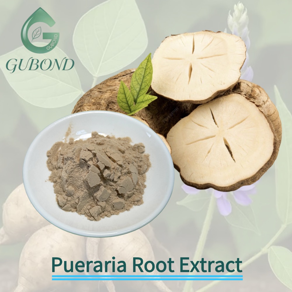 Pueraria Root Extract