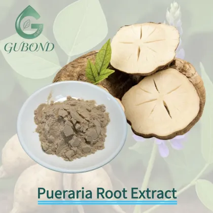 Pueraria 1%–98% Lobata Kudzu Root Extract Powder