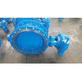 ANTI-SEISMIC ขยายตัวเข้าร่วม CI GATE VALVE