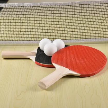 Table Tennis Paddle and Retractable Net Set