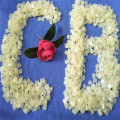 /msite/products/detail/productid/56515522/id/658413.html
