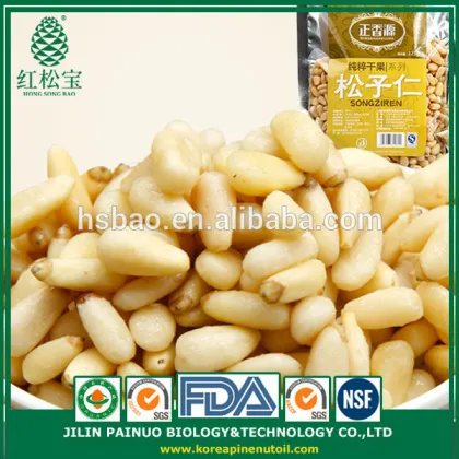 Container Home Leisure Foods Korean Pine Nut Kernels