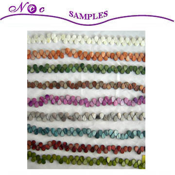 Shell Beads