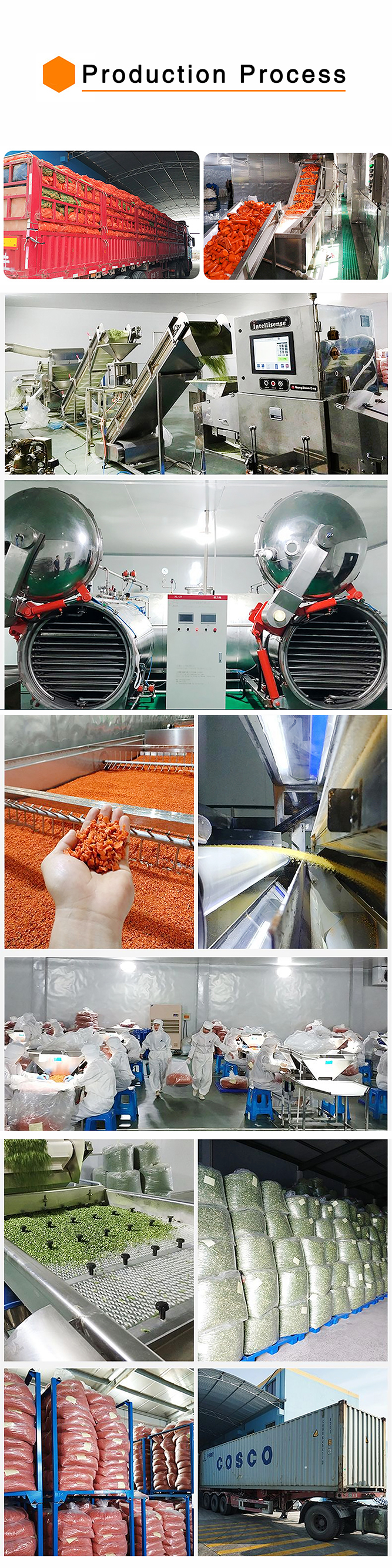 Natural Drying and Drying Carrots