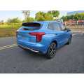 2021 Haval First Love Senior Edition 1.5T