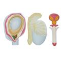/msite/products/detail/productid/63619823/id/1517769.html