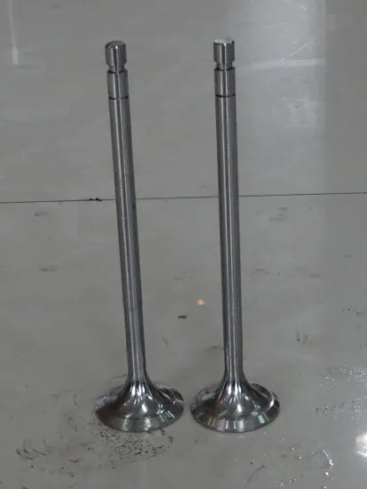 HANSHIN 6EL-35 Marine Engine Valve Spare Parts