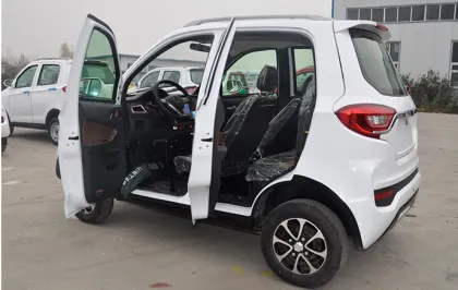 Mini Gasoline Car 250CC