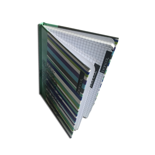 Benutzerdefinierte Druckpapier Schule Dot Grid Notebook