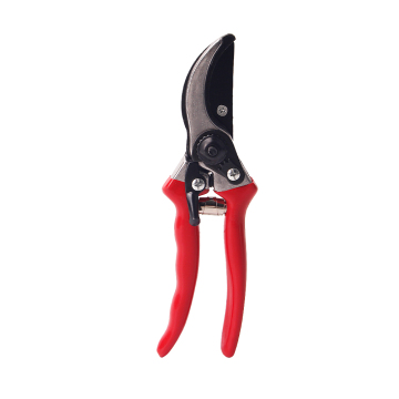 Shears pemangkasan bonsai baja terbaik untuk kebun