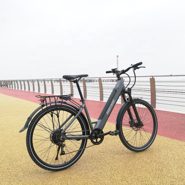27.5 \ "350W قوي 48V