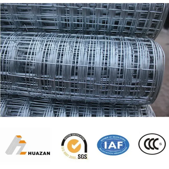 China factory electro galvanized welded wire mesh for construction