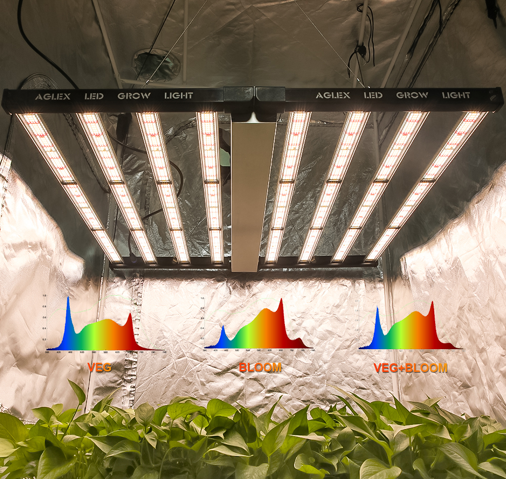 LED växer ljus 1000W för hydroponics system