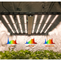 LEDは水耕系システム用の光1000Wを成長させます
