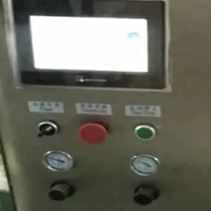 Nylon Bag Packaging Machinery - Triangular Green Tea Pouch Filling and Sealing Machine