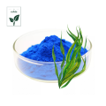 Blue Spirulina Extract Phycocyanin E18 Powder