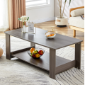 Modern Coffee Table with Double Layer