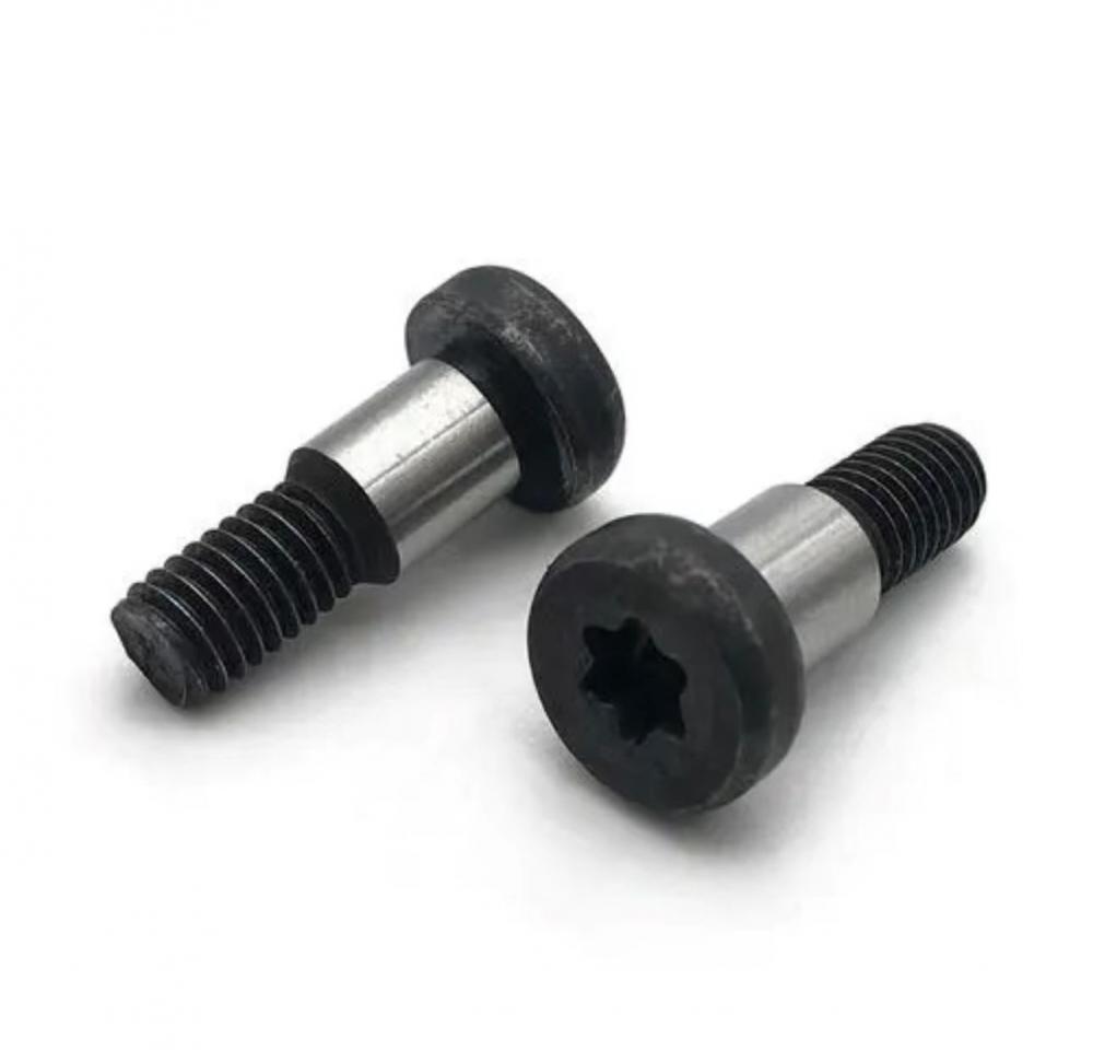 Button Head Torx Screws