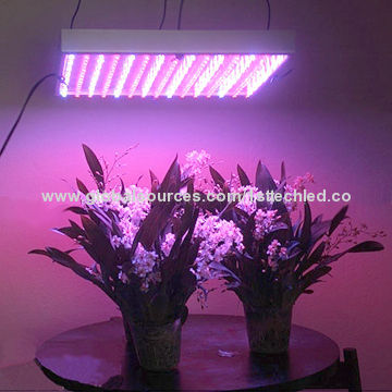 600W LED Grow Light, 50/60Hz Working Frequency