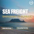 Freight de mer de Shenzhen à Durban Afrique du Sud