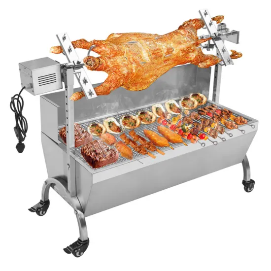 Professional New Electric Bbq Grill Rotisserie Spit Roaster Bbq Grill Bbq Grill Smoker Rotating Charcoal