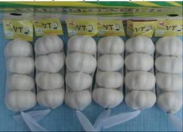 pure white garlic
