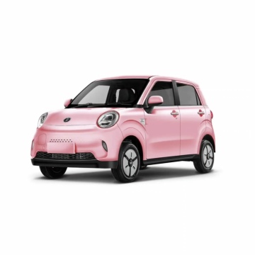 Factory Direct Price Pink Blue Fashion 3-Door 4-Seater Minicar for Adults