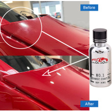 ceramic coat for cars cost