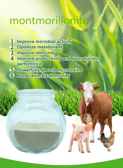 Organoclay Organophilic Montmorillonite Clay for animal feed