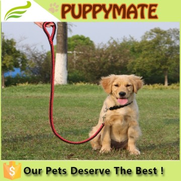 Hot Sale Rotary Snap Heavy Duty colourful Leather Dog Leash