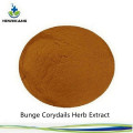 Buy online ingredients Bunge Corydails Herb Extract Powder