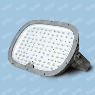 LED Tunnel Light 110W