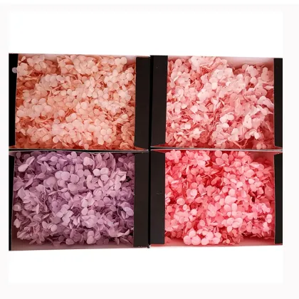 Eternal Life White Hydrangea: Preserved Anna Hydrangeas