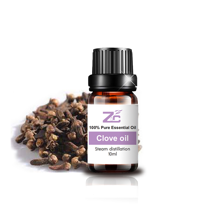 Essential Oil Clove For Mouth and Gum Disorder