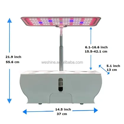 Indoor Herb Garden Kit: Hydroponic System with LED
