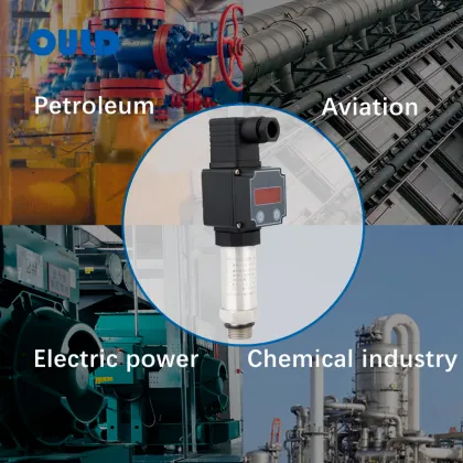 OEM Pressure Measuring Instruments: 4-20mA Water Pressure Sensor & IP68 Pressure Transmitter