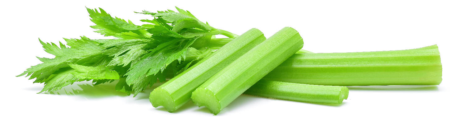 Celery-Powder-1