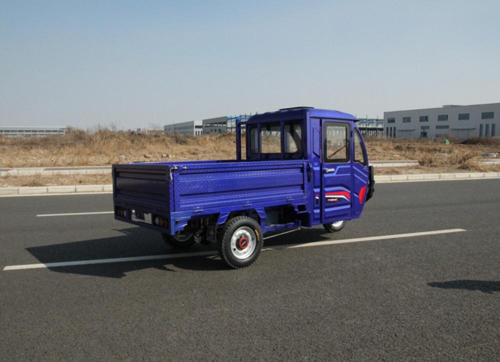 Trikes elétricos com pneus de gordura veículo elétrico de carga