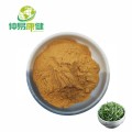 Green Tea Leaf Extract Powder Green Tea powder