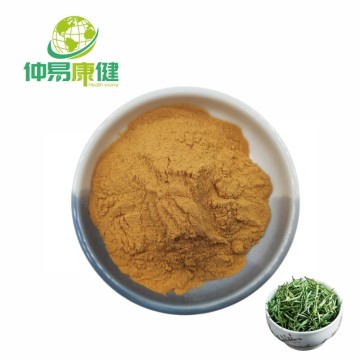 Green Tea Extract Powder