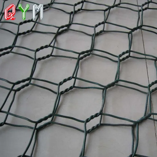 Galvanized Rabbit Cage Welded Wire Mesh Rolls for Chicken