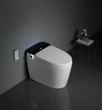 Sanitary Ware Floor Mounted One-Piece Intelligent Toilet