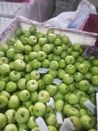 Orgin fresh Green Granny Smith apples