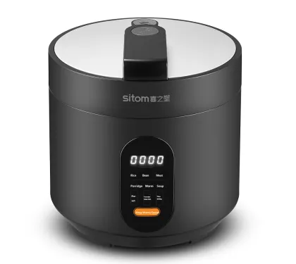 Rice Cooker Mini Size