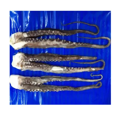 ilex squid tentacle,high quality cleaned japanese squid tentacle,high quality frozen big squid tentacle